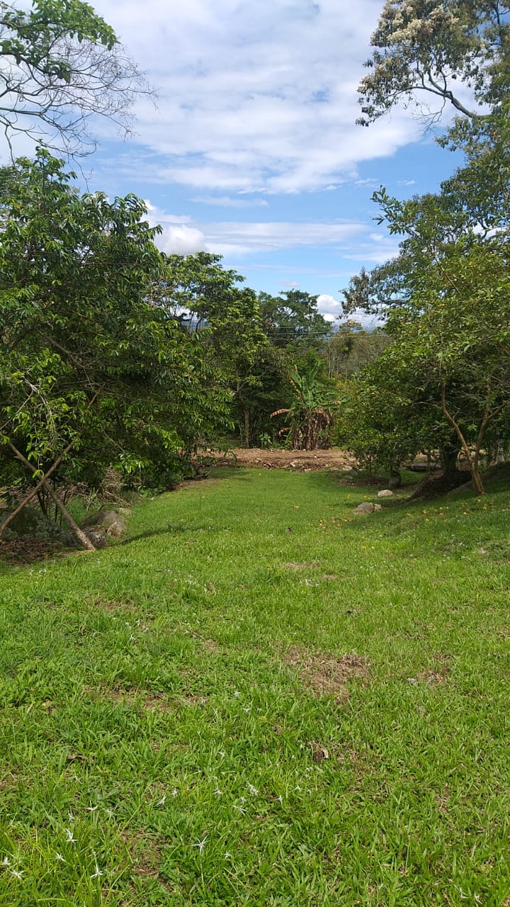 474676315_122245982288009006_120878429012999616_n