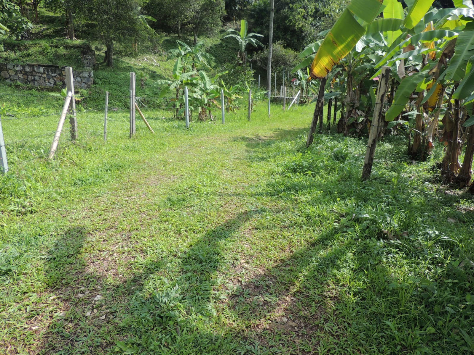 476159348_122247561080009006_3802522586883104017_n