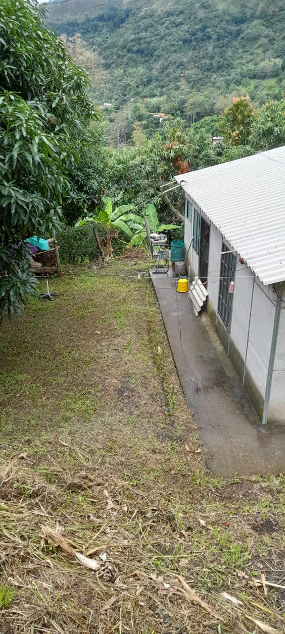 476247905_122247524354009006_1659407604274132051_n