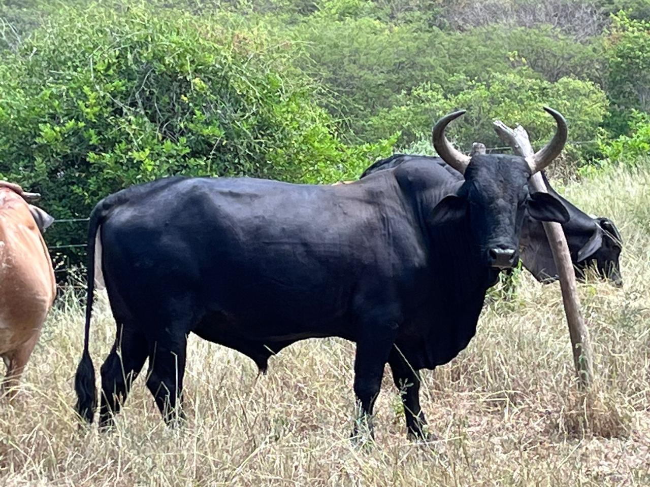 480156504_122250429656009006_2694800926956826070_n