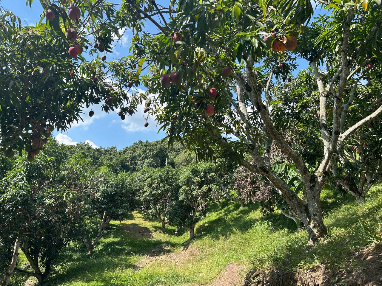 481260244_122253466040009006_2519237939502089370_n